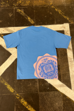 BLUEANDPINKTSHIRTBACK-700x1050